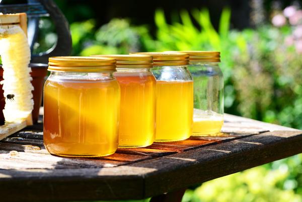 秋冬喝什么蜂蜜好(秋冬季節適合喝什么蜂蜜) 秋冬喝什么蜂蜜好(秋冬季節適合喝什么蜂蜜)