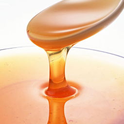 自然成熟蜂蜜要多少天(真正的天然成熟蜂蜜并非越新鮮越好) 自然成熟蜂蜜要多少天(真正的天然成熟蜂蜜并非越新鮮越好)