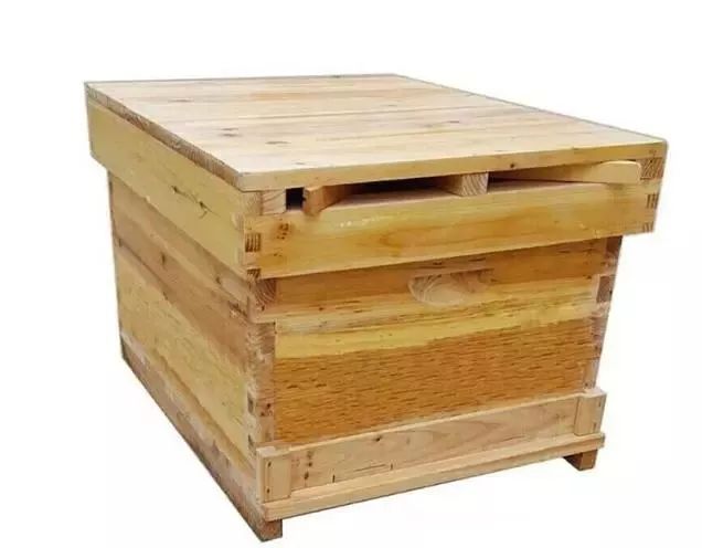 養蜂幾月份開始養(養蜂什么時候最適宜) 養蜂幾月份開始養(養蜂什么時候最適宜)