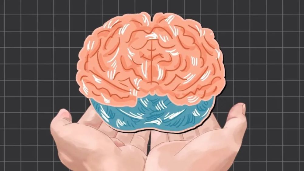 地球上最成功的植物是什么? 地球上最成功的植物,1萬(wàn)年前操縱智人,占地面積將近10個(gè)英國(guó)