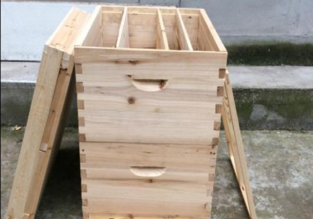 蜂王幾月份停止產卵(蜂群沒有蜂蛹怎么辦) 蜂王幾月份停止產卵(蜂群沒有蜂蛹怎么辦)