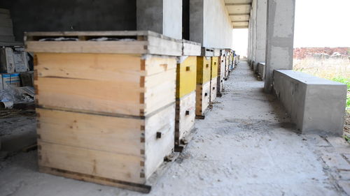 新手養(yǎng)蜜蜂死了是怎么回事(剛來(lái)的野蜂,不久全部死亡,什么原因) 新手養(yǎng)蜜蜂死了是怎么回事(剛來(lái)的野蜂,不久全部死亡,什么原因)