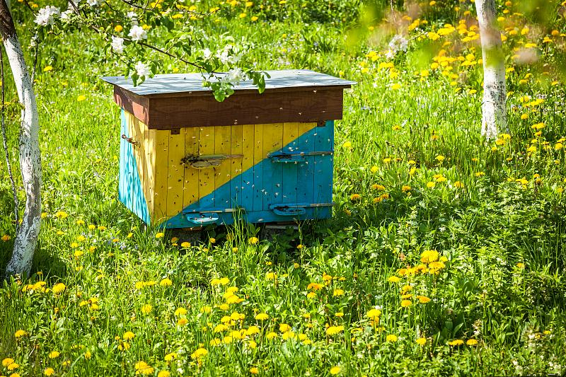 高加索蜂蜂箱濕度多少合適(蜂群巢內(nèi)濕度的判斷依據(jù)及調(diào)控措施) 高加索蜂蜂箱濕度多少合適(蜂群巢內(nèi)濕度的判斷依據(jù)及調(diào)控措施)