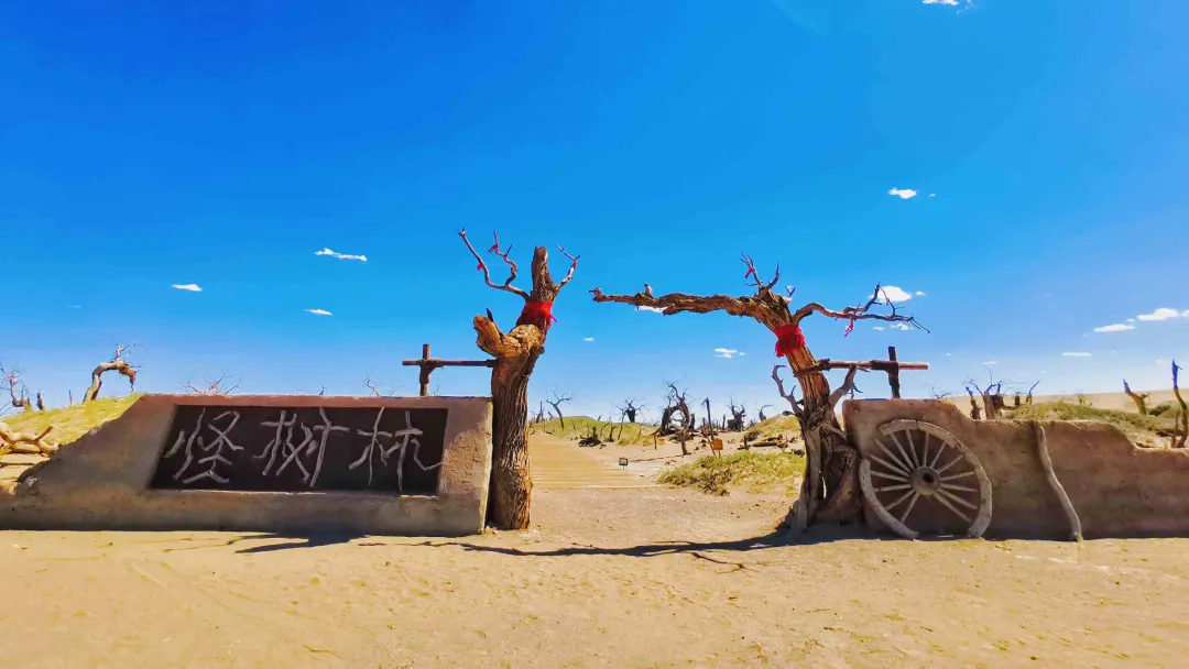 中秋出行！新晉黑馬目的地TOP10，小眾海島、賞秋秘境、文化慢城