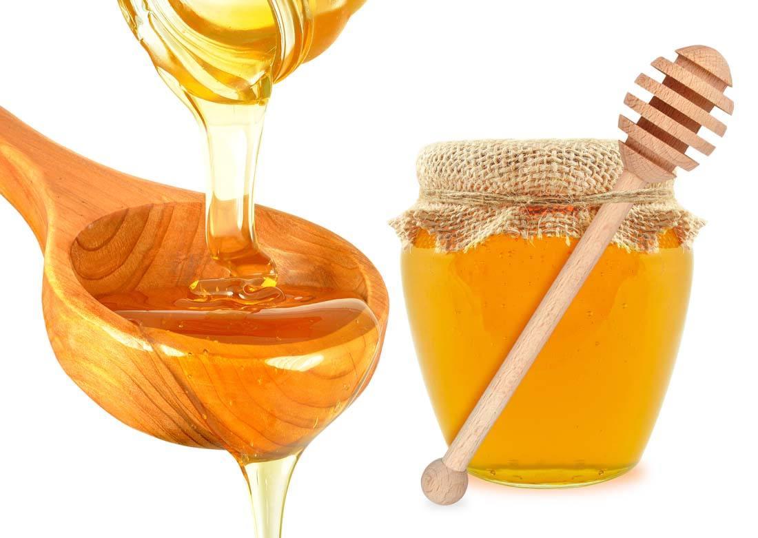 杜英樹雨天流蜜不(杜英流蜜多嗎) 杜英樹雨天流蜜不(杜英流蜜多嗎)