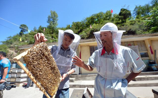 如何注冊養蜂公司(注冊公司步驟) 如何注冊養蜂公司(注冊公司步驟)