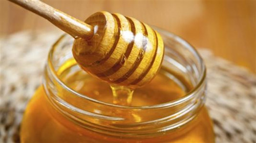 一棵烏桕能采多少蜜(一顆烏桕樹能流多少蜜) 一棵烏桕能采多少蜜(一顆烏桕樹能流多少蜜)