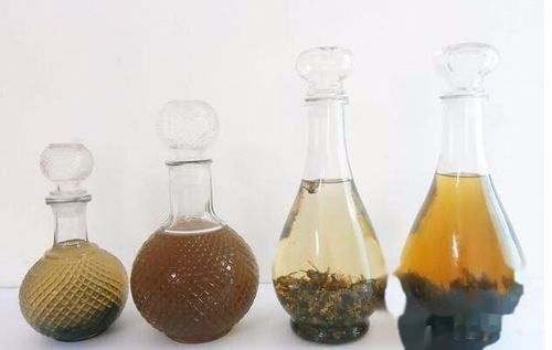 胡蜂泡酒的藥用價值(馬蜂泡酒有什么功效) 胡蜂泡酒的藥用價值(馬蜂泡酒有什么功效)