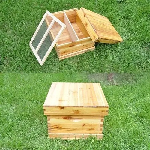 蜂箱外面有一團(tuán)蜂是怎么回事(蜜蜂在蜂箱外面抱成一團(tuán)是什么原因) 蜂箱外面有一團(tuán)蜂是怎么回事(蜜蜂在蜂箱外面抱成一團(tuán)是什么原因)