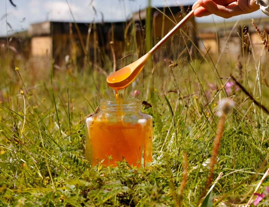 蜂蜜一天喝多少合適（蜂蜜每天喝多少最適合對(duì)身體好）