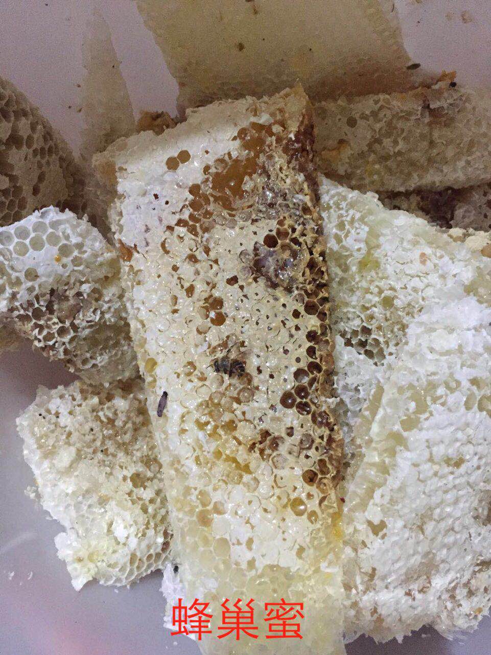 養(yǎng)中蜂的詳細技術(shù)方法要點(中蜂養(yǎng)殖發(fā)展快的技巧) 養(yǎng)中蜂的詳細技術(shù)方法要點(中蜂養(yǎng)殖發(fā)展快的技巧)