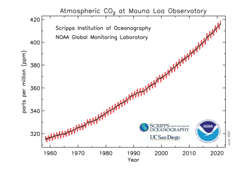 赤道附近喀麥隆罕見(jiàn)降雪！人類正處在大冰期中，全球變暖錯(cuò)了？