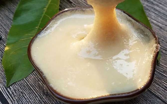 鴨腳木蜜是什么蜜(鴨腳木蜜是什么蜂種) 鴨腳木蜜是什么蜜(鴨腳木蜜是什么蜂種)