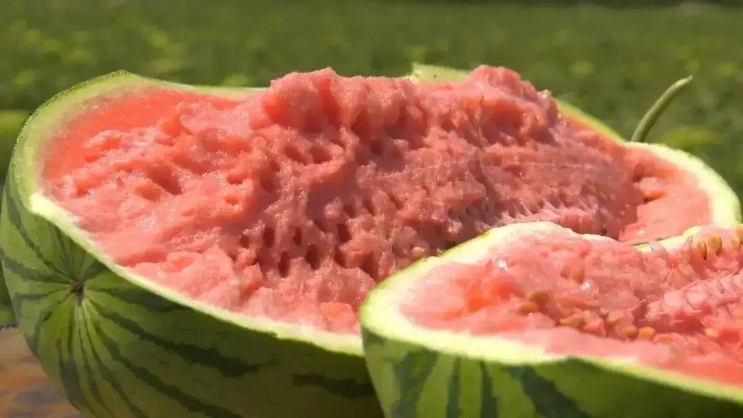 西瓜產地哪里最好(中國10大優質西瓜產地) 西瓜產地哪里最好(中國10大優質西瓜產地)