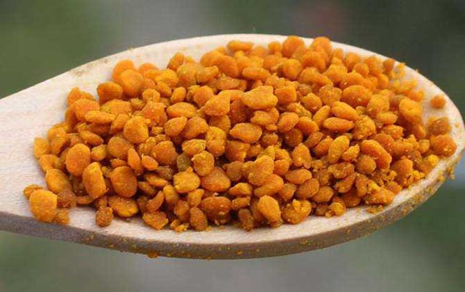 茶花粉的功效與作用有哪些？經常吃些茶花粉，這6個好處跑不了！