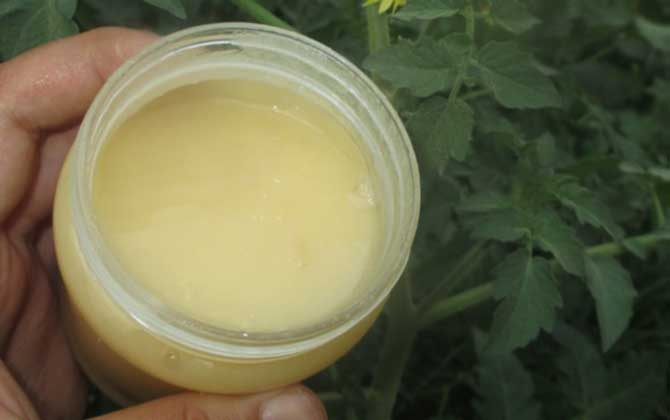 天天喝蜂蜜會(huì)不會(huì)發(fā)胖？看食用量，適量能減肥，過(guò)量越喝越胖！