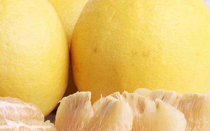 自制蜂蜜柚子茶怎么做？只需5步就能做好，既簡(jiǎn)單又好喝！