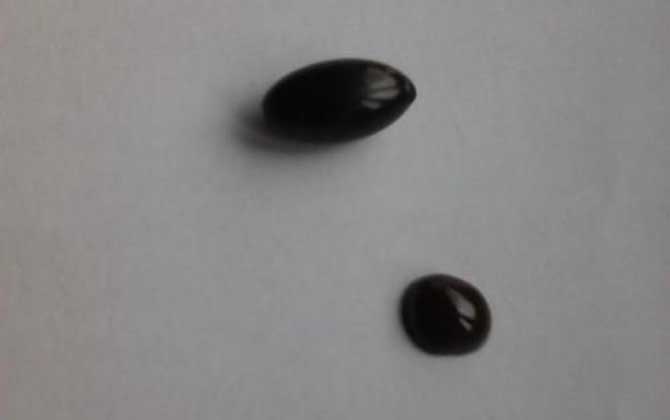 女性吃蜂膠要注意什么？要謹防發生過敏反應，更不能過量服用！