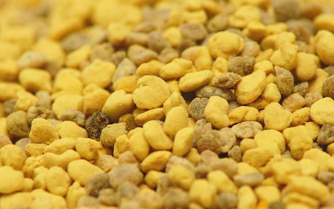 男人吃花粉有什么好處？不但能增強(qiáng)體質(zhì)，還能預(yù)防前列腺疾病！