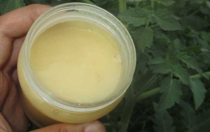 蜂蜜和什么可以美白祛斑？