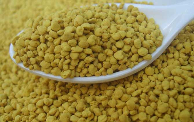 油菜花粉對性功能有好處嗎？