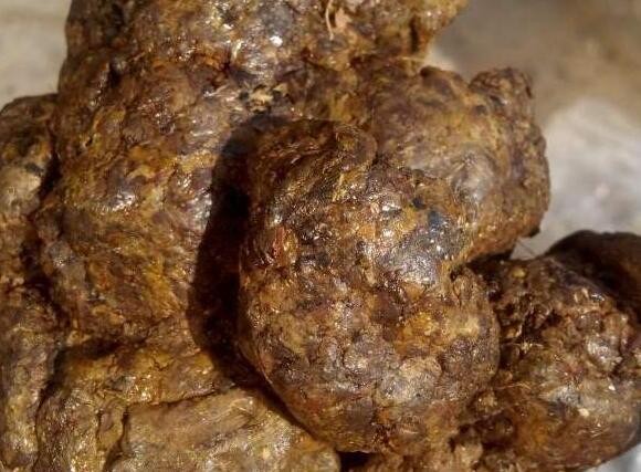 服用蜂膠的禁忌，女性經(jīng)常吃蜂膠的害處?